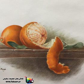 فها آرت | اثر فهیمه حکیمی | نقاشی مداد رنگی طبیعت بی جان نارین